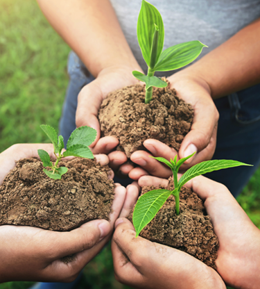 Saving the environment through planting plants. 
